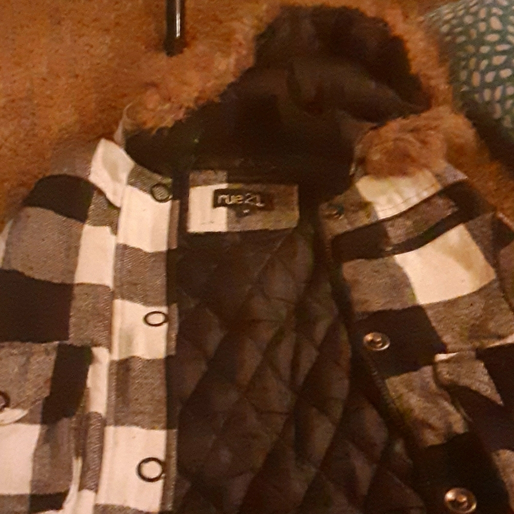 Vest